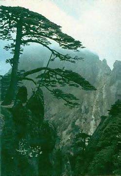 Tao landscape